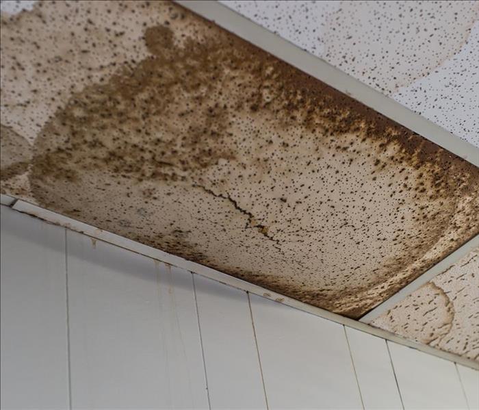 water damaged ceiling tile