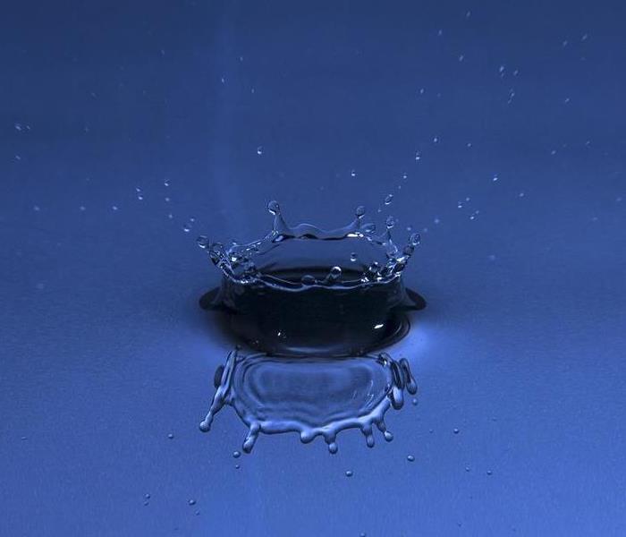 Up-close shot of a drop of water in a pond 